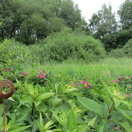 Ostfriesland Zu Zweit - Uebernachten Mit Flair * Moormerland