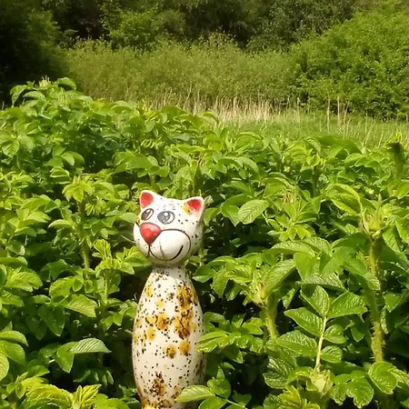 Ostfriesland Zu Zweit - Uebernachten Mit Flair Moormerland